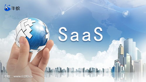 計算機(jī)信息技術(shù)開發(fā)中牛蟻的巧妙應(yīng)用