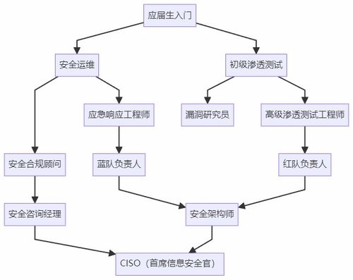 計算機(jī)生求職避坑指南 選網(wǎng)絡(luò)安全，比卷開發(fā)香太多